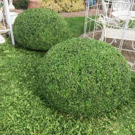 Furnika Gartengestaltungen in Seevetal Galerie 06
